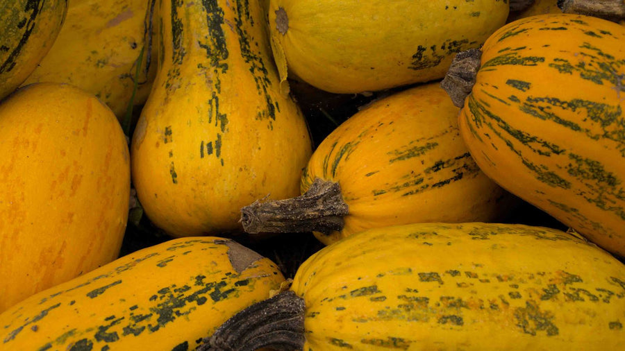 Courge spaghetti : comment la cuire + 7 recettes faciles pour l’automne