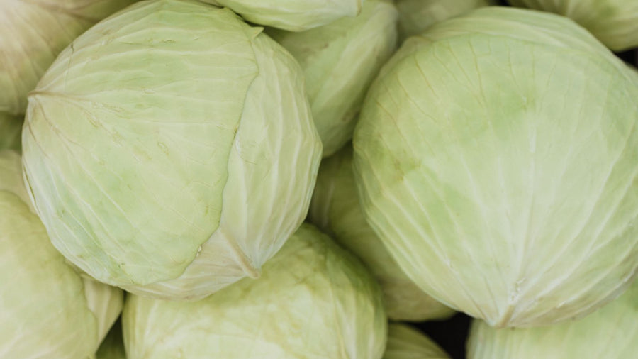 Que faire avec du chou vert ? 8 recettes faciles et économiques