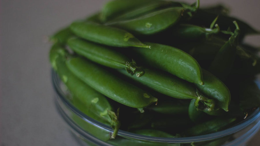 Que faire avec des haricots verts ? 8 recettes faciles pour changer des haricots vapeur